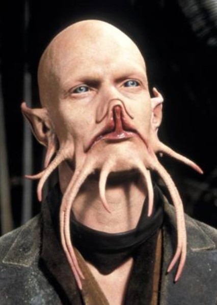 alien. photo