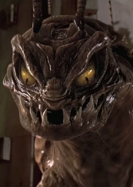 alien. photo