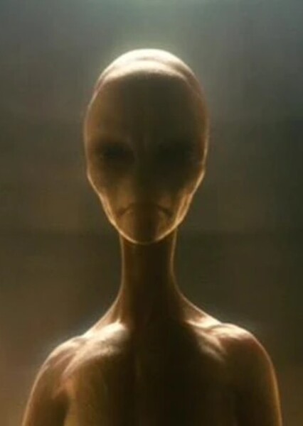 Aliens photo