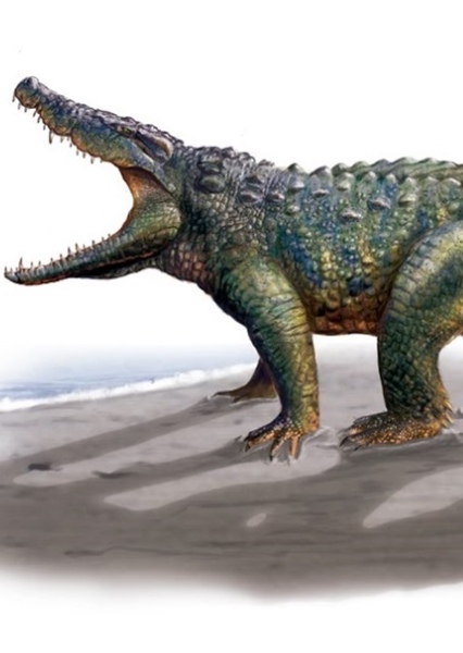 Allodaposuchus