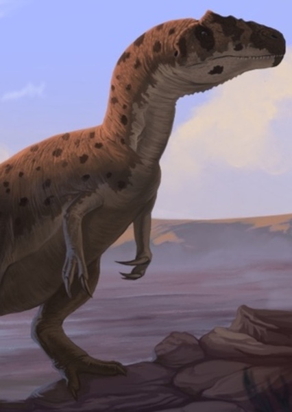 Allosaurus photo