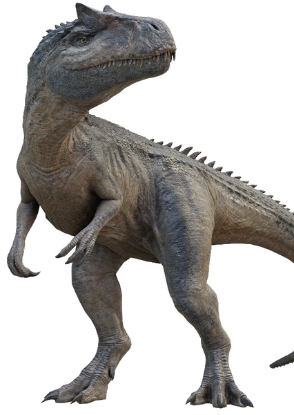 Allosaurus photo