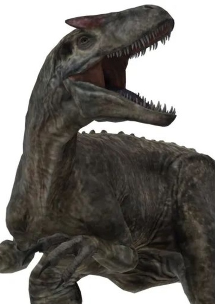 Allosaurus photo