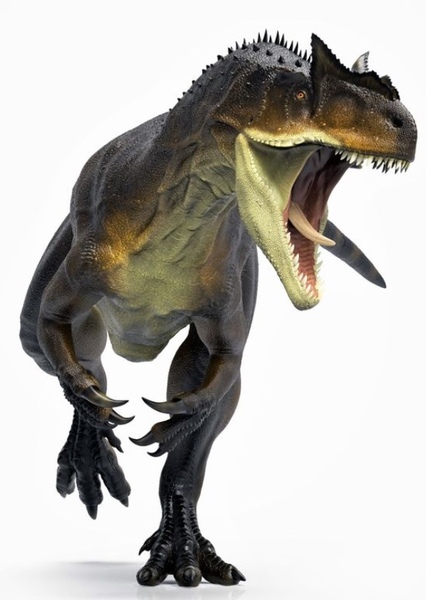 Allosaurus photo