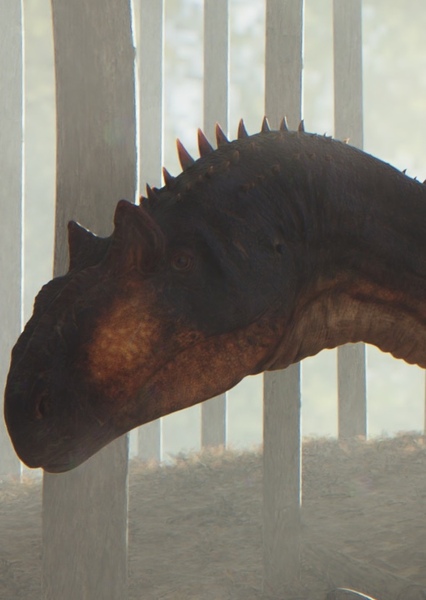 Allosaurus photo