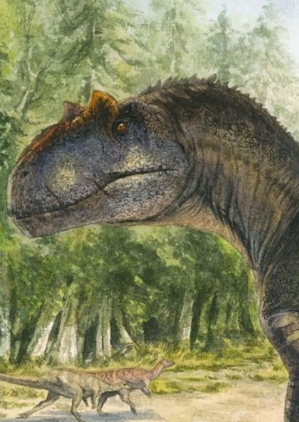 Allosaurus photo