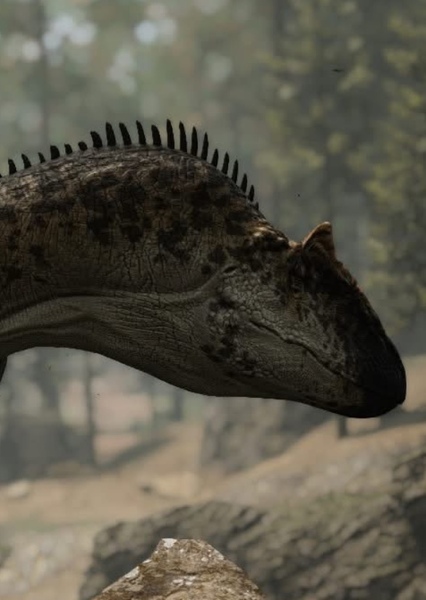 Allosaurus photo