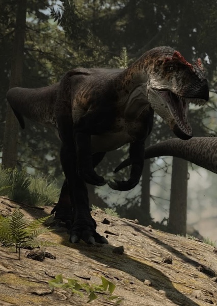 Allosaurus photo