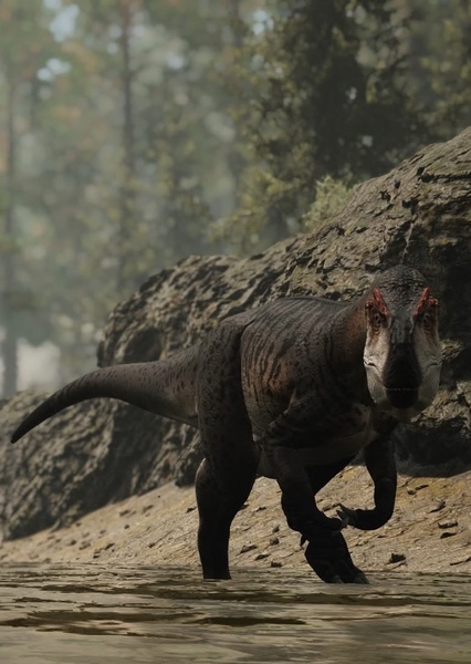 Allosaurus photo