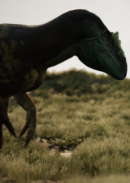 Allosaurus photo