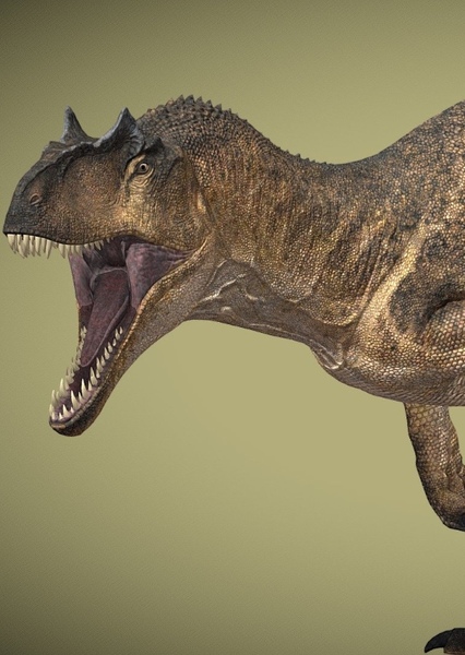 Allosaurus photo