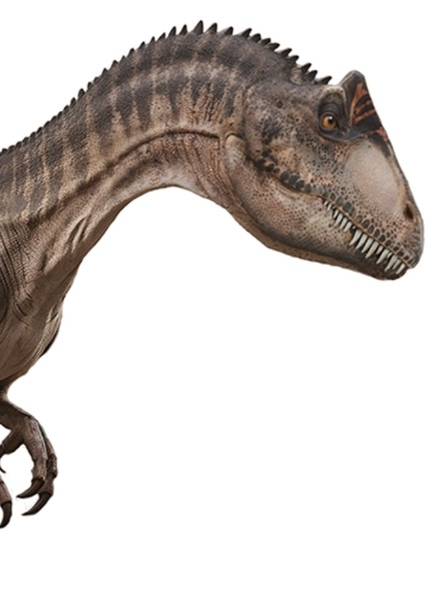 Allosaurus photo