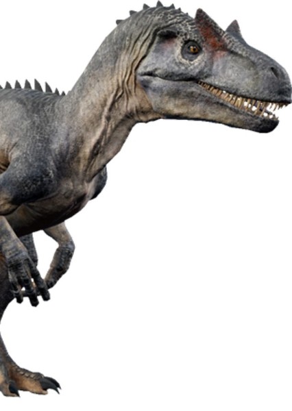 Allosaurus photo