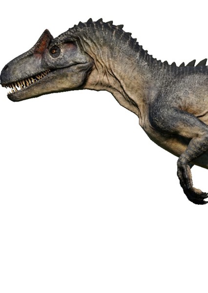 Allosaurus photo
