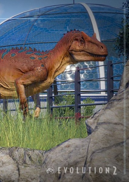 Allosaurus photo