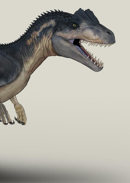 Allosaurus photo