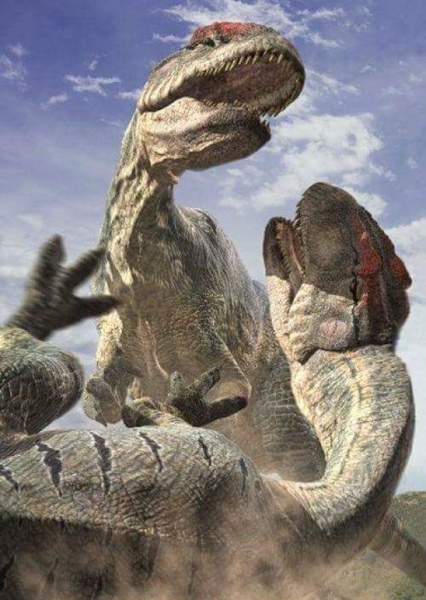 Allosaurus photo