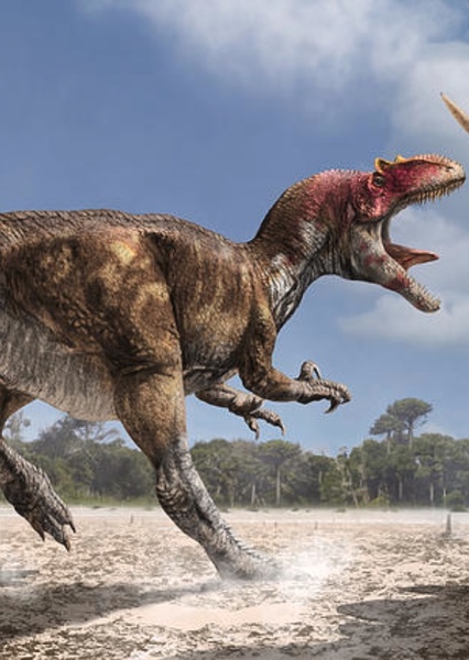 Allosaurus photo