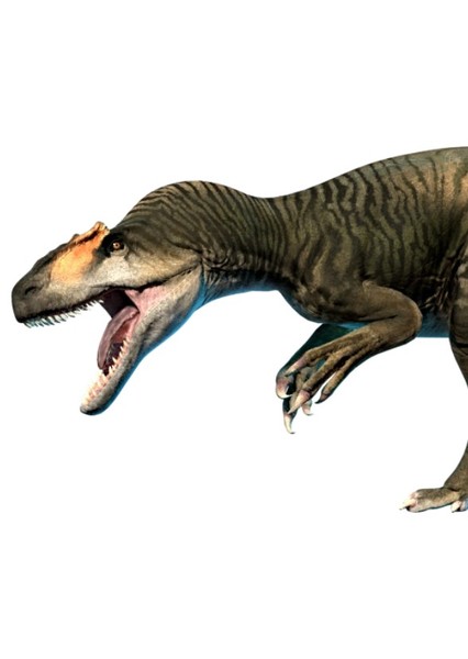Allosaurus photo