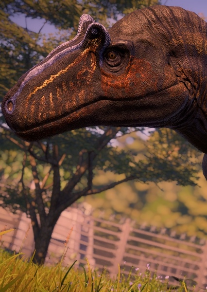 Allosaurus photo