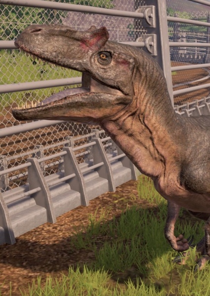 Allosaurus photo
