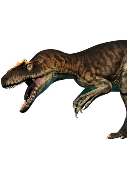 Allosaurus photo