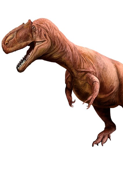 Allosaurus photo