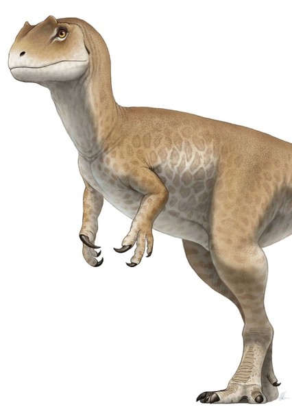 Allosaurus photo