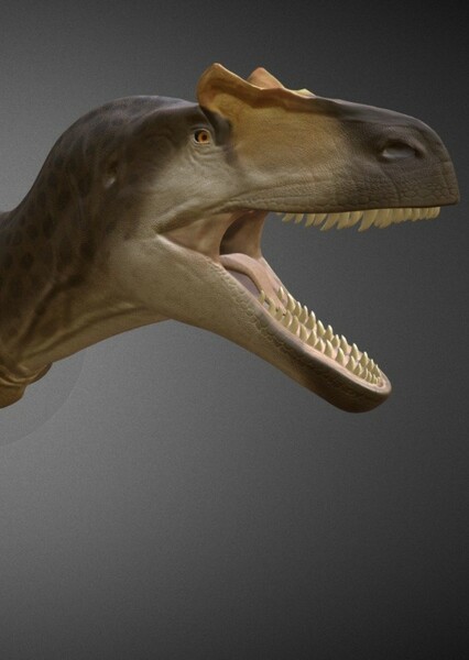 Allosaurus photo