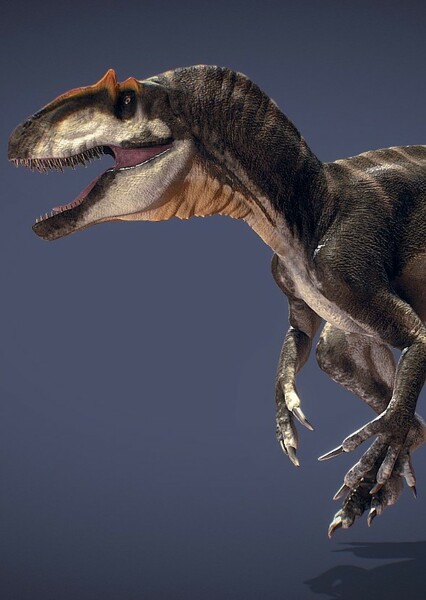 Allosaurus photo