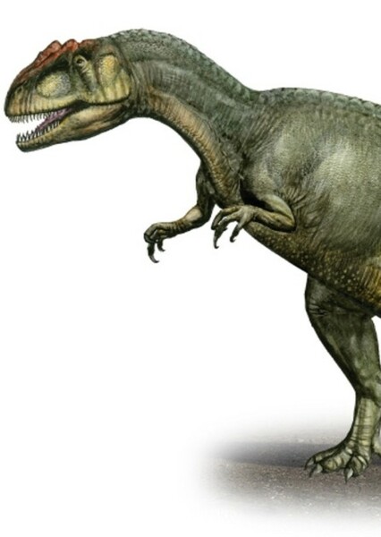 Allosaurus photo
