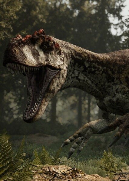 Allosaurus photo