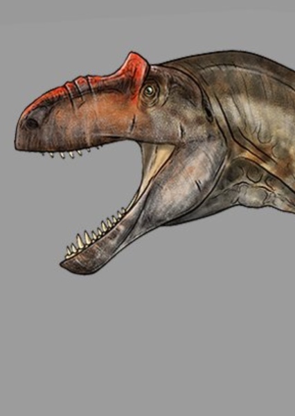 Allosaurus photo