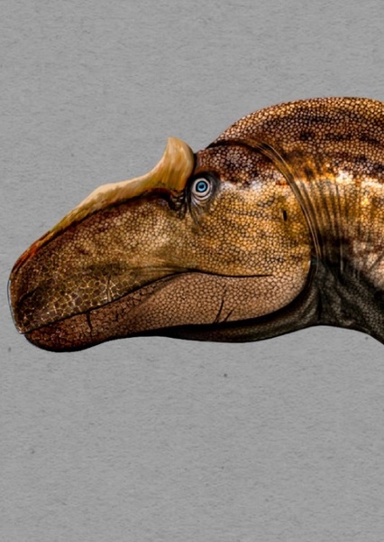 Allosaurus photo
