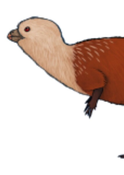 Alocodon