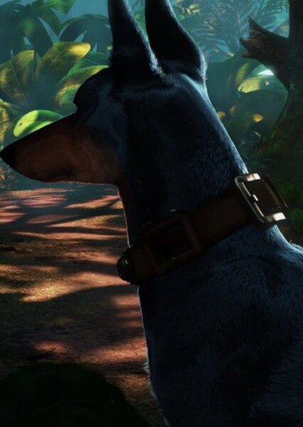 Alpha (Up) photo