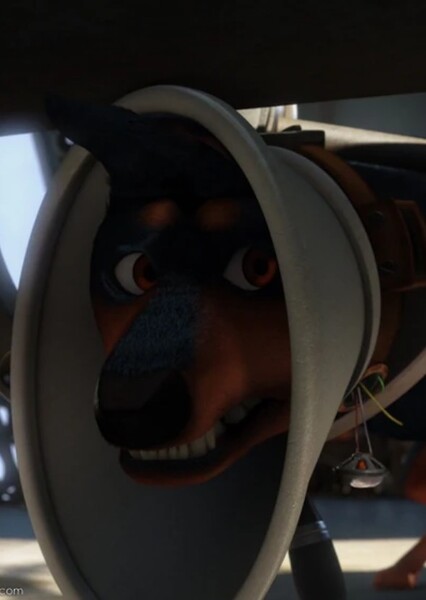 Alpha (Up) photo