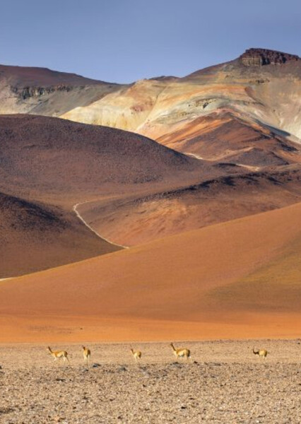 Altiplano, Peru