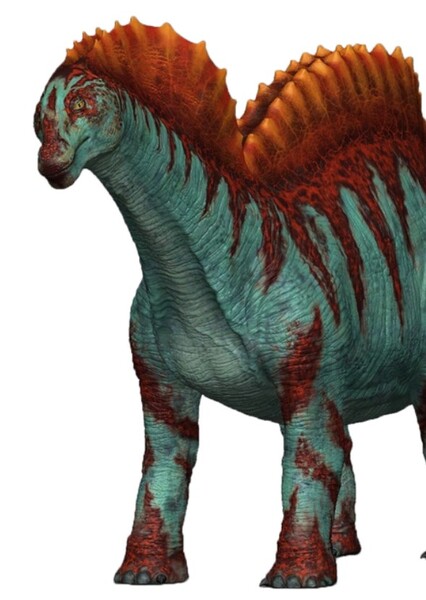 Amargasaurus (Dino Dan)