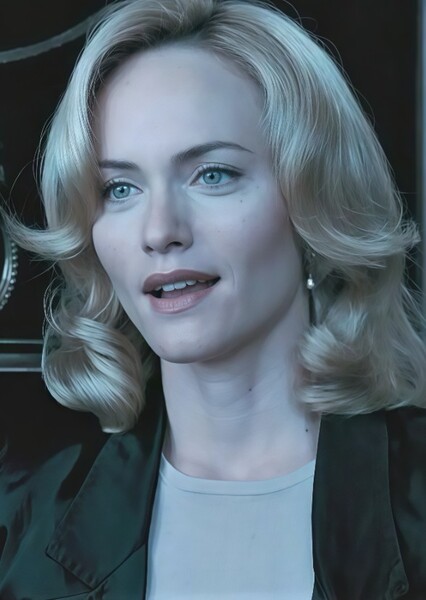 Amber Valletta photo