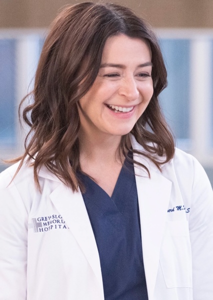 Amelia Shepherd Fan Casting Amelia Shepherd Fan Casting