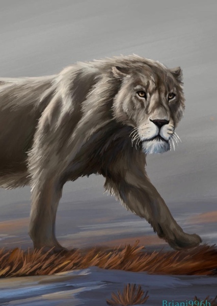 American Lion
