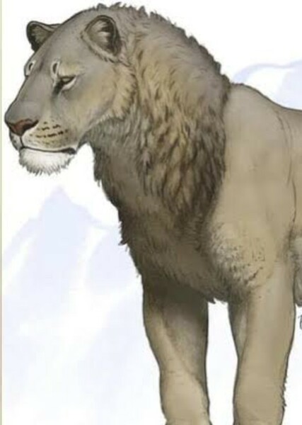 American Lion