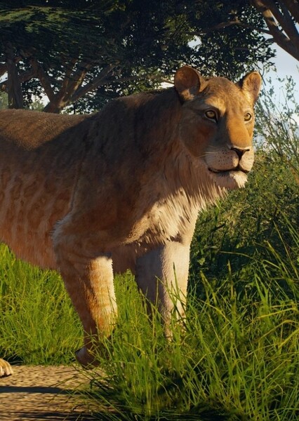 American Lion (Prehistoric Kingdom)