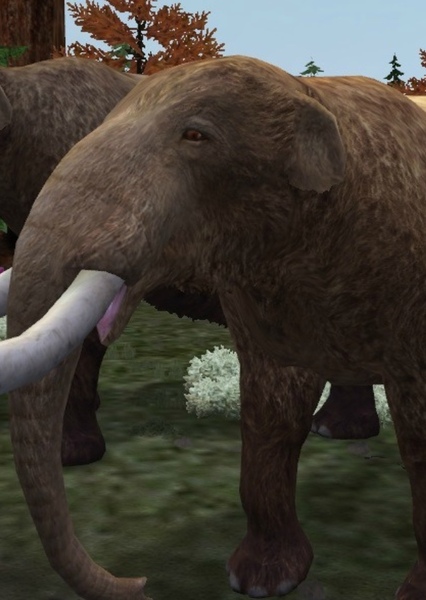 American mastodon