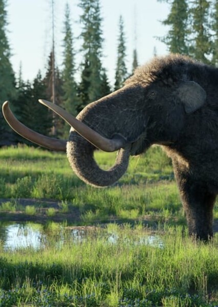 American mastodon photo