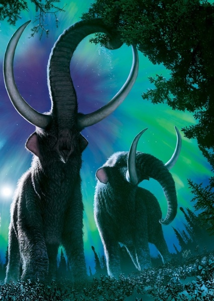 American mastodon photo