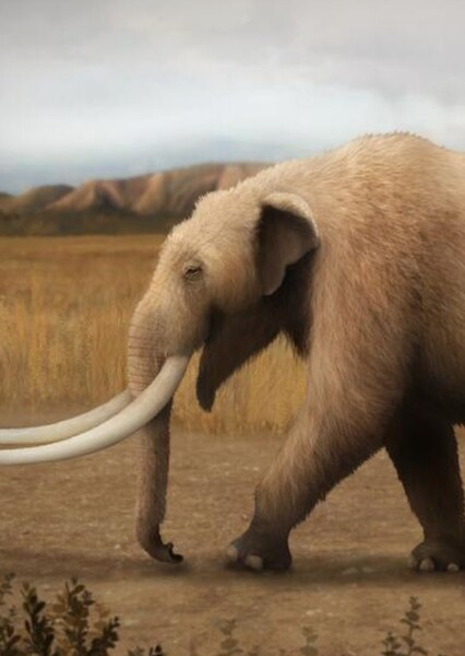 American mastodon