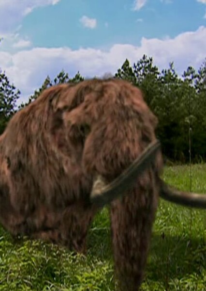 American Mastodon (Mastodon in Your Backyard)
