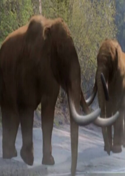 American Mastodon (Wild New World)